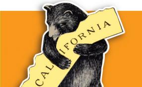 California Galaxy Design