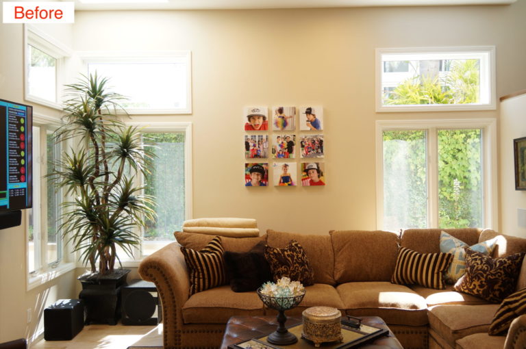Family room windows