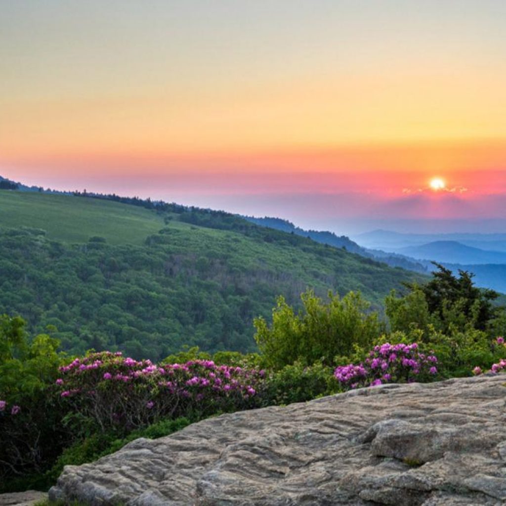 North Carolina